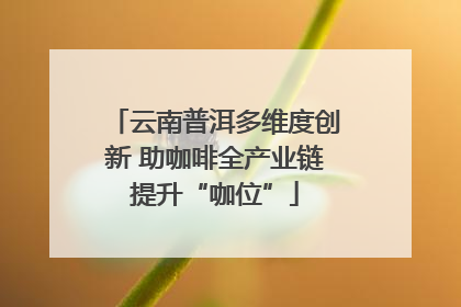 云南普洱多维度创新 助咖啡全产业链提升“咖位”