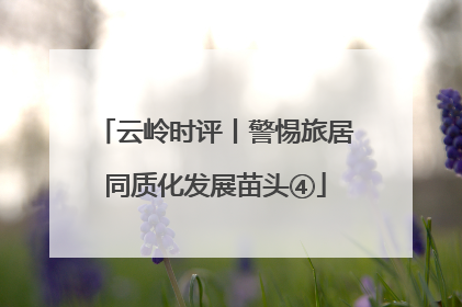 云岭时评丨警惕旅居同质化发展苗头④