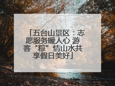 五台山景区：志愿服务暖人心 游客“粽”情山水共享假日美好