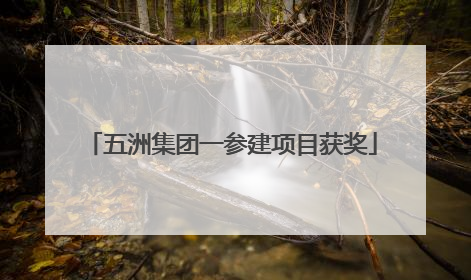 五洲集团一参建项目获奖
