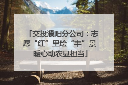 交投濮阳分公司：志愿“红”里绘“丰”景 暖心助农显担当