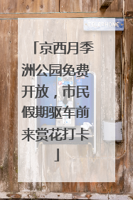 京西月季洲公园免费开放，市民假期驱车前来赏花打卡