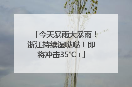 今天暴雨大暴雨！浙江持续湿哒哒！即将冲击35℃+