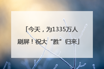 今天，为1335万人刷屏！祝大“胜”归来