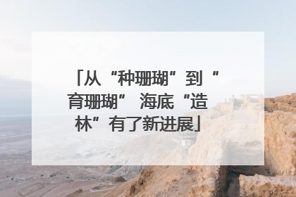 从“种珊瑚”到“育珊瑚” 海底“造林”有了新进展