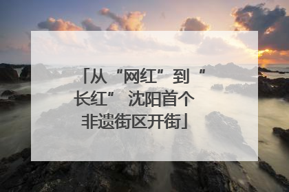 从“网红”到“长红” 沈阳首个非遗街区开街