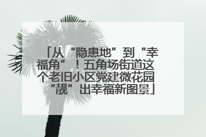 从“隐患地”到“幸福角”！五角场街道这个老旧小区党建微花园“靓”出幸福新图景