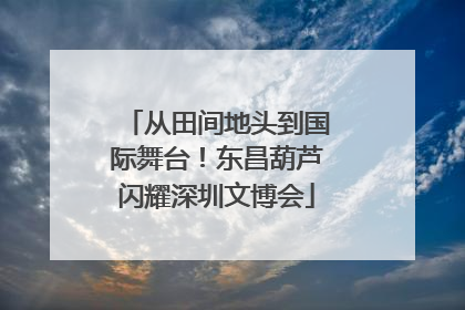 从田间地头到国际舞台！东昌葫芦闪耀深圳文博会