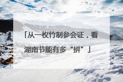 从一枚竹制参会证，看湖南节能有多“拼”