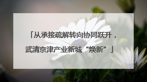从承接疏解转向协同跃升，武清京津产业新城“焕新”