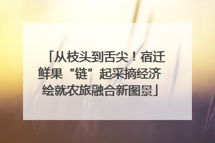 从枝头到舌尖！宿迁鲜果“链”起采摘经济绘就农旅融合新图景