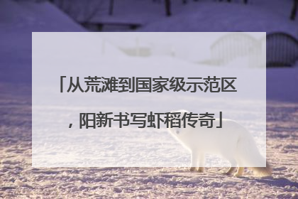 从荒滩到国家级示范区，阳新书写虾稻传奇