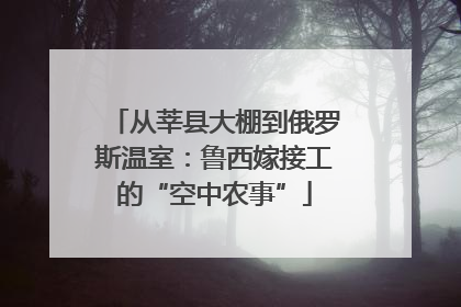 从莘县大棚到俄罗斯温室：鲁西嫁接工的“空中农事”