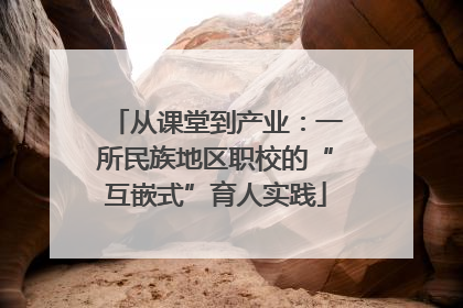 从课堂到产业：一所民族地区职校的“互嵌式”育人实践