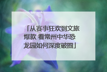 从赛事狂欢到文旅爆款 看常州中华恐龙园如何深度破圈