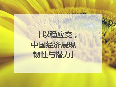 以稳应变，中国经济展现韧性与潜力