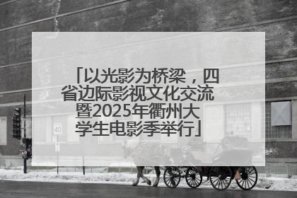 以光影为桥梁，四省边际影视文化交流暨2025年衢州大学生电影季举行