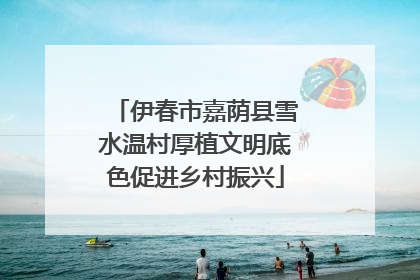 伊春市嘉荫县雪水温村厚植文明底色促进乡村振兴
