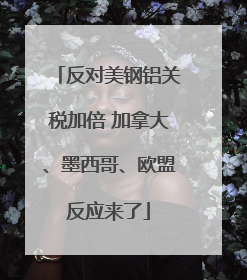 反对美钢铝关税加倍 加拿大、墨西哥、欧盟反应来了