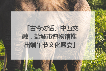 古今对话、中西交融，盐城市博物馆推出端午节文化盛宴