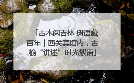 古木阅吉林 树语藏百年｜西关宾馆内，古榆“讲述”时光絮语