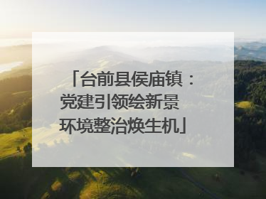 台前县侯庙镇：党建引领绘新景 环境整治焕生机