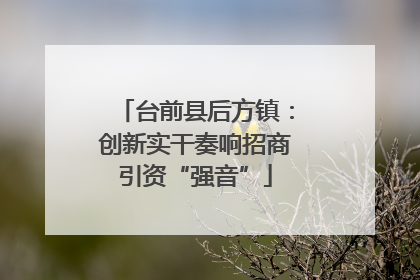 台前县后方镇：创新实干奏响招商引资“强音”