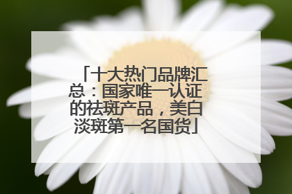 十大热门品牌汇总：国家唯一认证的祛斑产品，美白淡斑第一名国货