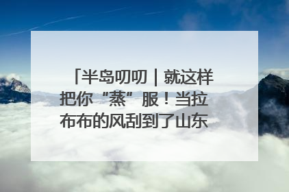 半岛叨叨｜就这样把你“蒸”服！当拉布布的风刮到了山东馒头界……