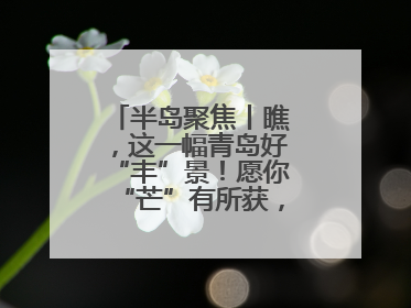 半岛聚焦丨瞧，这一幅青岛好“丰”景！愿你“芒”有所获，“种”有所得