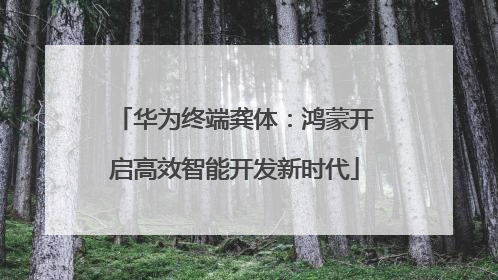 华为终端龚体：鸿蒙开启高效智能开发新时代