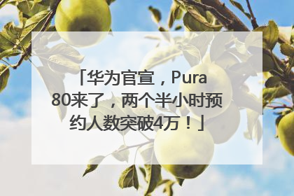 华为官宣，Pura 80来了，两个半小时预约人数突破4万！