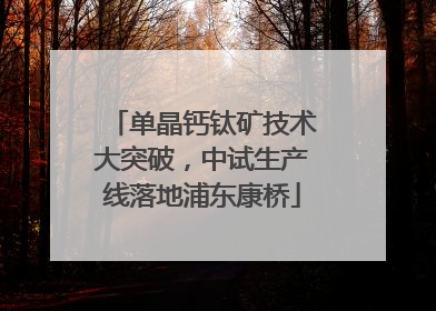 单晶钙钛矿技术大突破，中试生产线落地浦东康桥