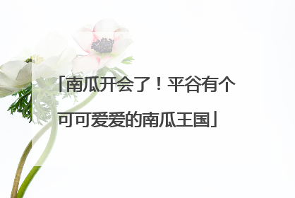 南瓜开会了！平谷有个可可爱爱的南瓜王国