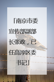 南京市委宣传部副部长张政，已任高淳区委书记