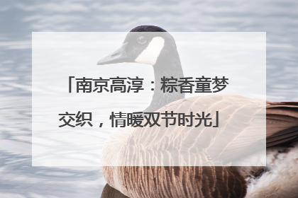 南京高淳：粽香童梦交织，情暖双节时光