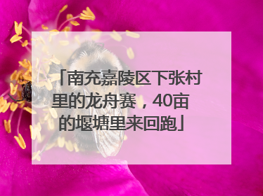 南充嘉陵区下张村里的龙舟赛，40亩的堰塘里来回跑