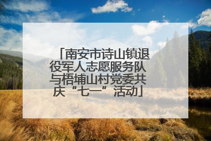 南安市诗山镇退役军人志愿服务队与梧埔山村党委共庆“七一”活动