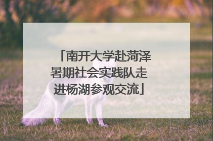 南开大学赴菏泽暑期社会实践队走进杨湖参观交流