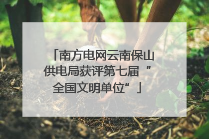 南方电网云南保山供电局获评第七届“全国文明单位”