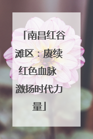 南昌红谷滩区：赓续红色血脉 激扬时代力量