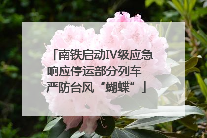 南铁启动Ⅳ级应急响应停运部分列车 严防台风“蝴蝶”