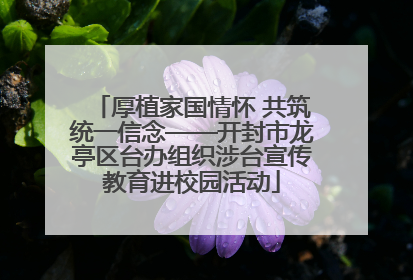 厚植家国情怀 共筑统一信念——开封市龙亭区台办组织涉台宣传教育进校园活动