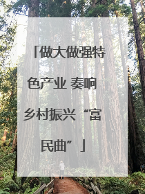 做大做强特色产业 奏响乡村振兴“富民曲”