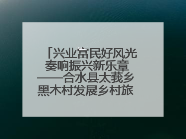 兴业富民好风光 奏响振兴新乐章——合水县太莪乡黑木村发展乡村旅游纪实