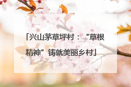兴山茅草坪村：“草根精神”铸就美丽乡村