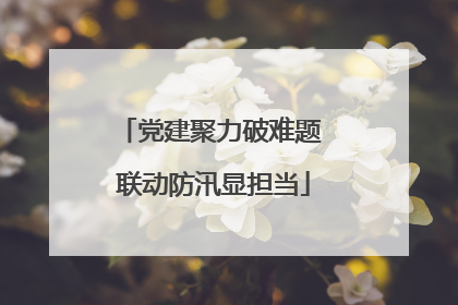 党建聚力破难题 联动防汛显担当