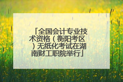 全国会计专业技术资格（衡阳考区）无纸化考试在湖南财工职院举行