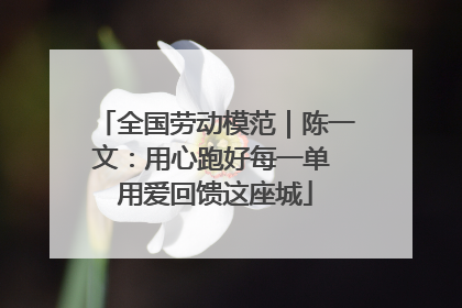 全国劳动模范｜陈一文：用心跑好每一单 用爱回馈这座城