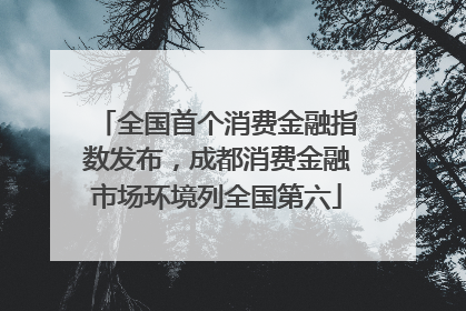 全国首个消费金融指数发布，成都消费金融市场环境列全国第六